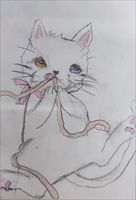 �z�b�R����4